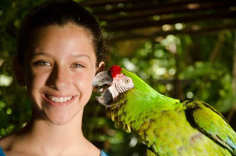 Riviera Maya: Croco Cun Interactive Zoo Tour - Why the guide makes a real difference