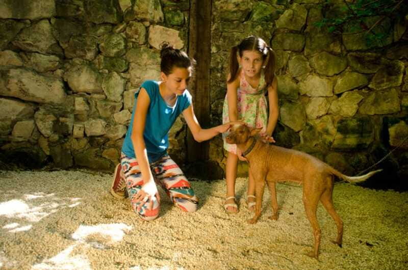 Riviera Maya: Croco Cun Interactive Zoo Tour - Who will enjoy this experience most