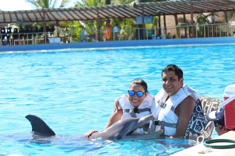 Riviera Maya: Dolphin Encounter with Beach Club Access - What your day at Dolphin Discovery Maroma looks like