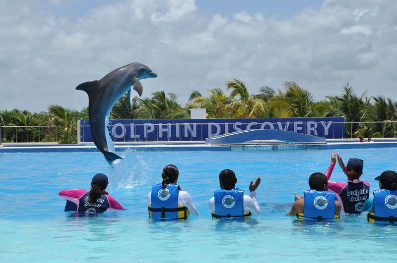 Riviera Maya: Dolphin Encounter with Beach Club Access - Playa Maroma gives the outing a second act
