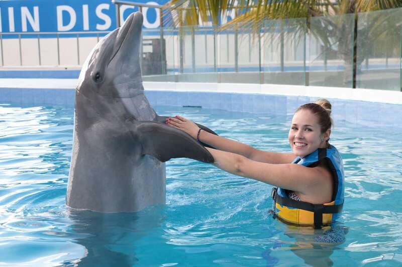 Riviera Maya: Dolphin Encounter with Beach Club Access - Children, height rules, and who should skip it