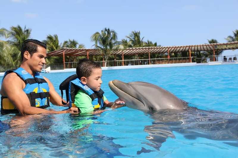 Riviera Maya: Dolphin Encounter with Beach Club Access - Timing problems and how to protect your day