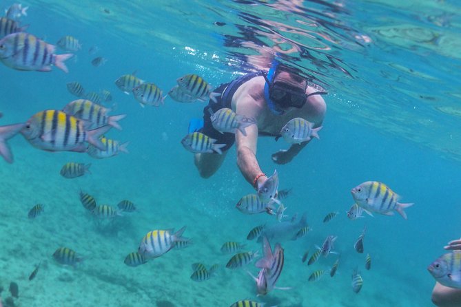 Riviera Maya Luxury Snorkeling Cruise with Lunch and Drinks - Sailing the Caribbean coast