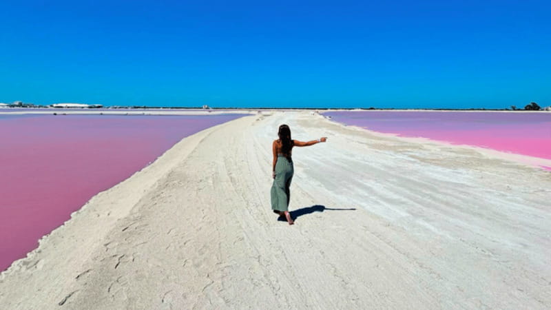 Riviera Maya: Rio Lagartos & Las Coloradas Day Trip w/Lunch - Key Points Before You Book