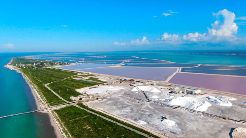 Riviera Maya: Rio Lagartos & Las Coloradas Day Trip w/Lunch - What the $104 Price Really Gets You