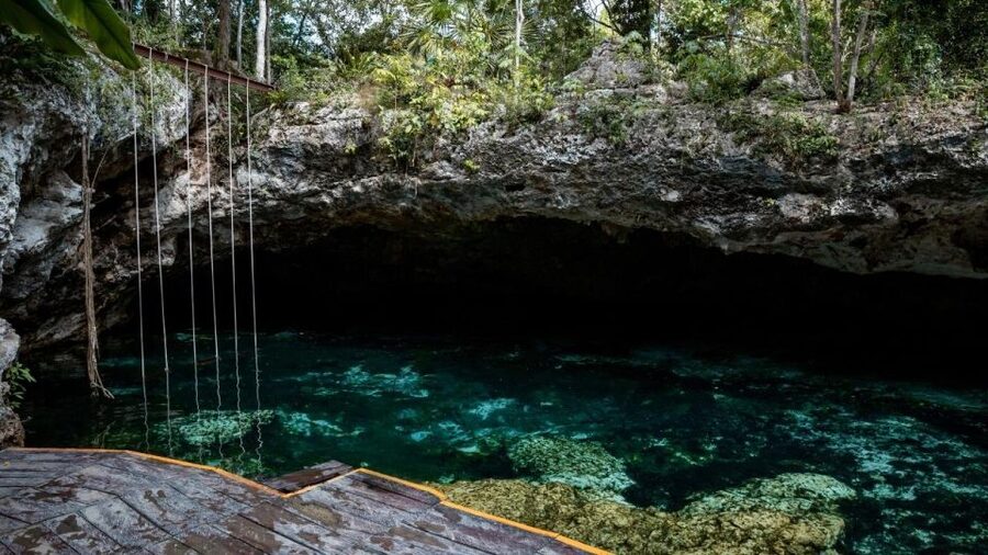 Riviera Maya: Tulum Ruins and 2 Cenotes Half-Day Tour - Forty-five minutes at Cenote Mariposa