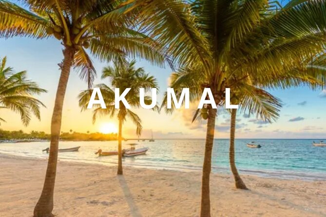 Round private transfer Airport- Akumal - Airport. - Key points to know before booking
