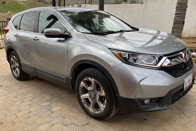 Round-trip Private Transportation in Valle - Why private transport helps in the Valle de Guadalupe