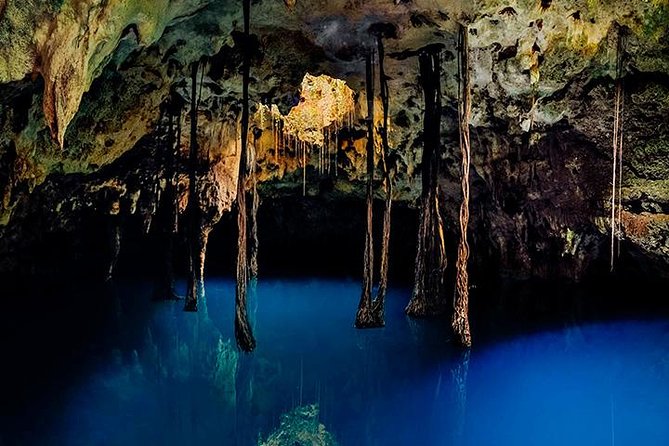 Sacred Adventure at Xenotes! 4 Different Cenotes + Round Transportation - The Ruta de los Cenotes Is the Real Setting