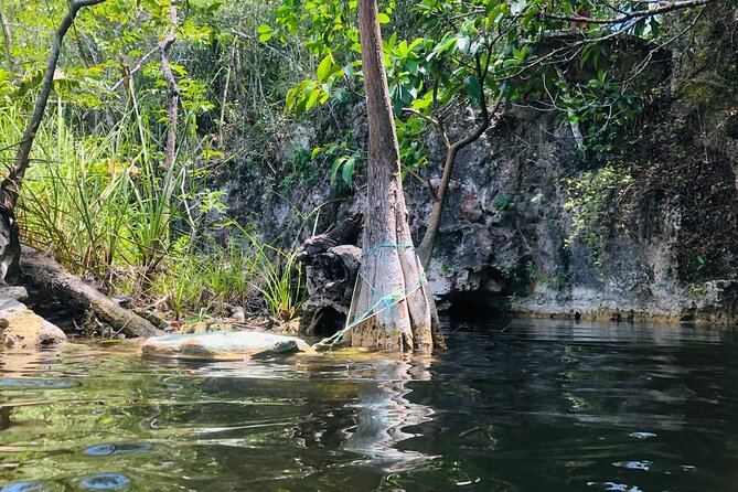 Sacred Adventure at Xenotes! 4 Different Cenotes + Round Transportation - Transport From Cancun, Playa del Carmen, and Tulum