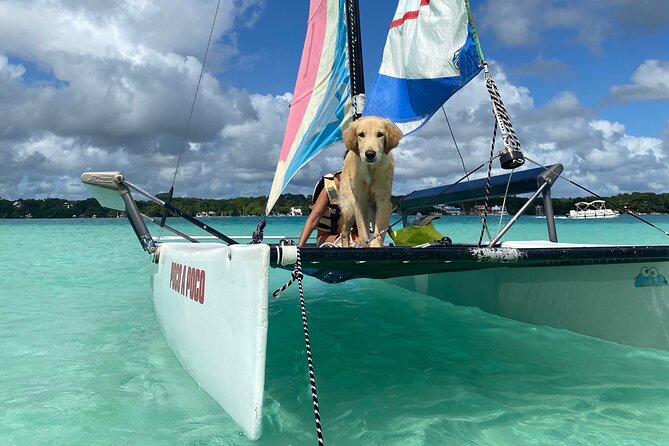Sail away! Hobie Cat Tour Bacalar - Why a Hobie Cat changes the Bacalar experience