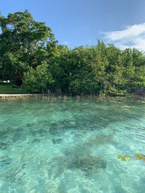 Sailboat tour in the seven colors lagoon of Bacalar - Black Cenote and Emerald Cenote from the lagoon
