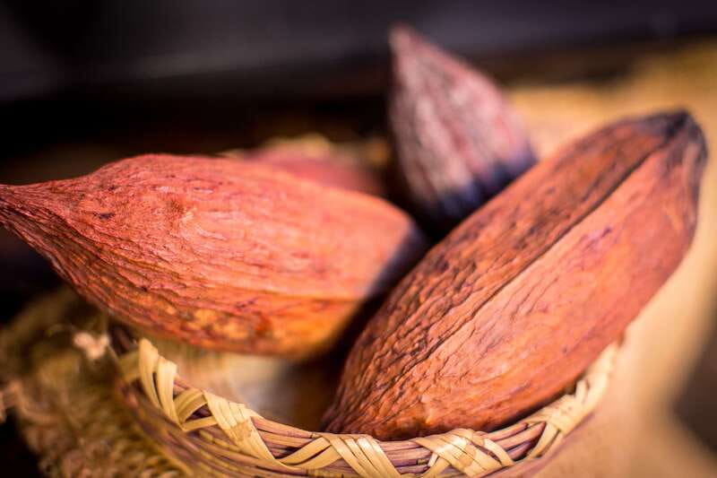 San Miguel de Allende: Chocolate Tasting and Walking Tour - The first chocolate stops: from artisan pieces to regional flavors