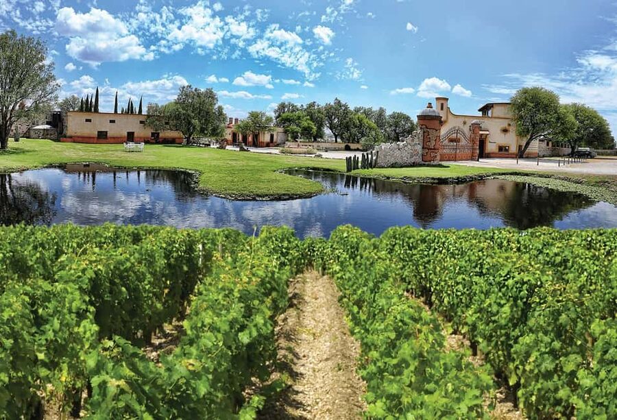 Santiago de Querétaro: Pueblos Mágicos Cheese and Wine Route - The first tasting: 14 cheeses and two glasses of wine