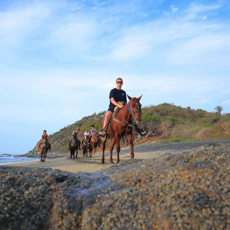 Sayulita: Horseback Riding Tour - Is the $79 price good value?