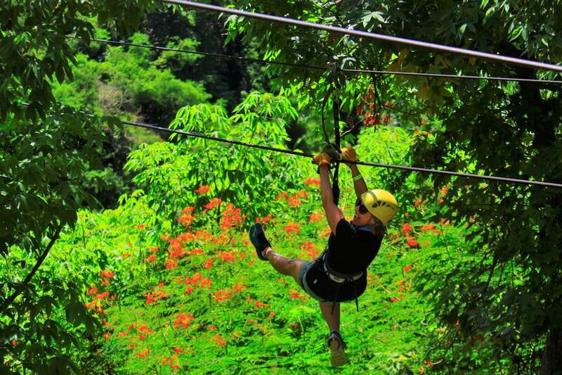 Sayulita/Punta Mita: Zip Lines with Ocean View - The Suspended Bridge in the Mountains
