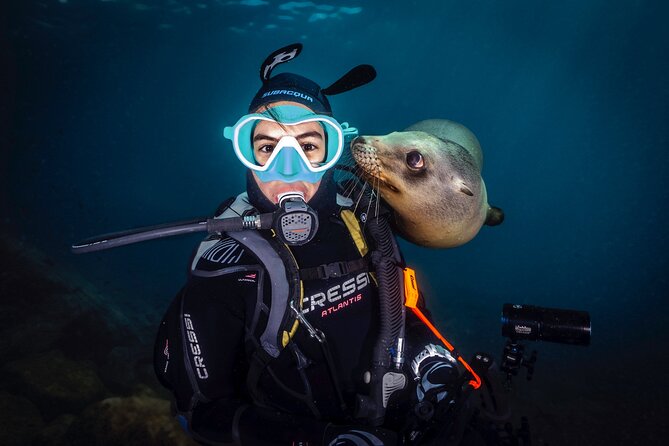 Scuba Dive in La Paz: Sea Lions, Turtles, Fish Schools and Wrecks - Two Guided Sessions for Certified Scuba Divers