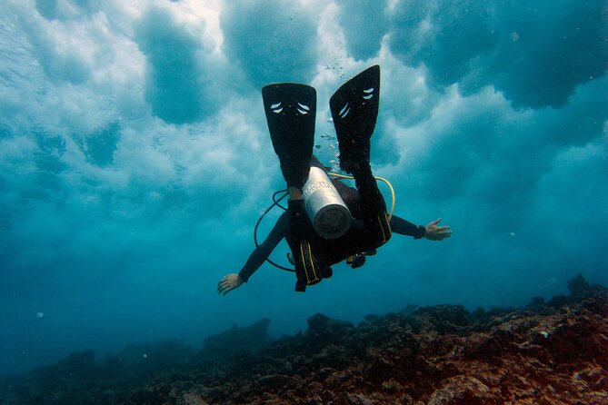 Scuba Diving (1st time) in Cancun Beginner's WELCOMED! - Why This Is a Good First Scuba Experience