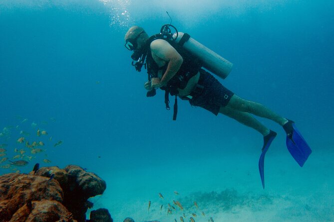 Scuba Diving (1st time) in Cancun Beginner's WELCOMED! - The First Lesson: Pool Skills Before the Ocean