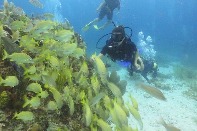 Scuba Diving (1st time) in Cancun Beginner's WELCOMED! - MUSA: Cancun’s Underwater Museum