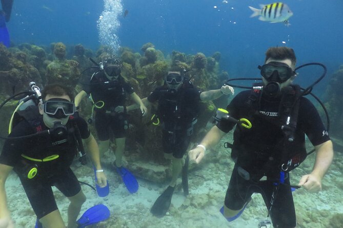 Scuba Diving (1st time) in Cancun Beginner's WELCOMED! - The Mesoamerican Reef: A Different Kind of Underwater View