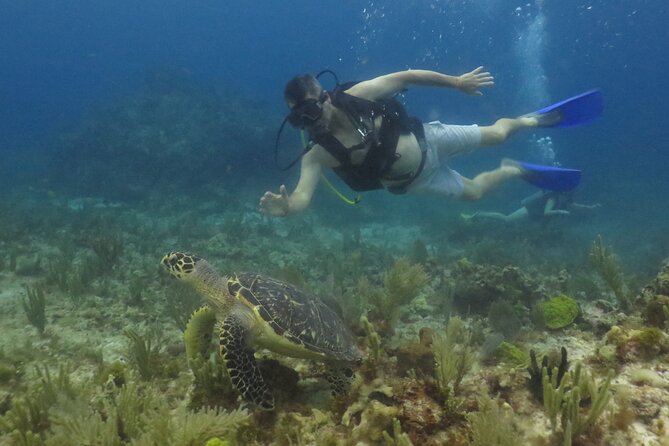Scuba Diving (1st time) in Cancun Beginner's WELCOMED! - How Safe Will You Feel?