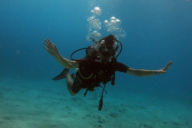 Scuba Diving (1st time) in Cancun Beginner's WELCOMED! - Meeting at Aquafun Marina at 10:00 a.m.