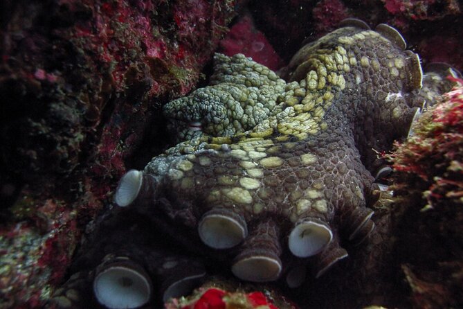 Scuba Diving - The Boat Ride to the Marine Park