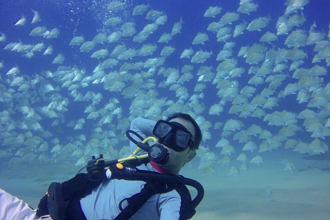 Scuba Diving - Why the Small Group Makes a Difference