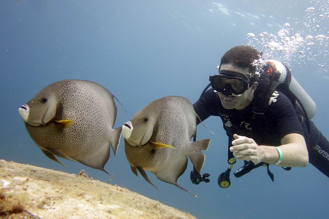 Scuba diving at MUSA the underwater museum for certified divers - Moving on to Manchones reef