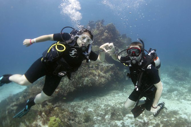 Scuba diving at MUSA the underwater museum for certified divers - Who will enjoy this outing most