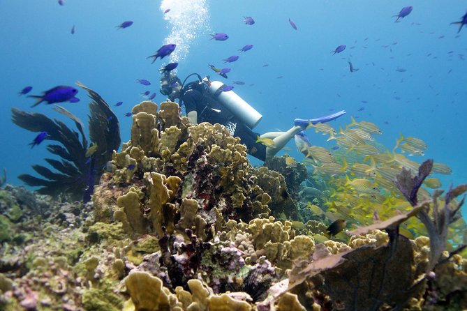 Scuba diving at MUSA the underwater museum for certified divers - Preparing for the first tank