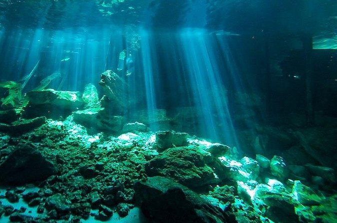 Scuba Diving in Cenote Dos Ojos from Playa del Carmen - Who should book this cenote outing