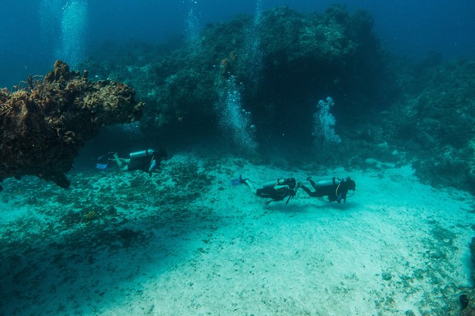 Scuba Diving in Cozumel Island - What the first underwater session is like
