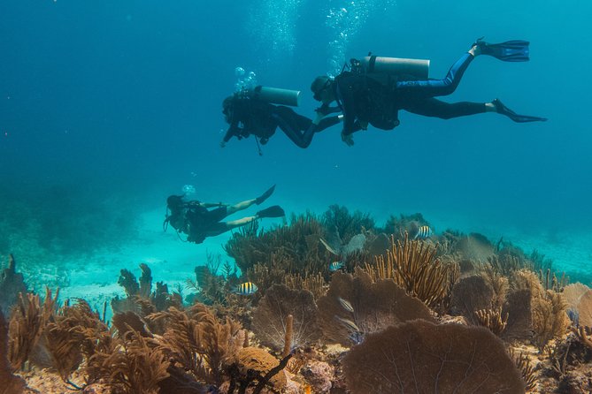 Scuba Diving in Cozumel Island - The one-hour surface break on the boat
