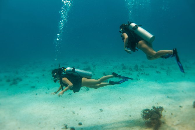 Scuba Diving in Cozumel Island - The second reef session and return to Fonatur