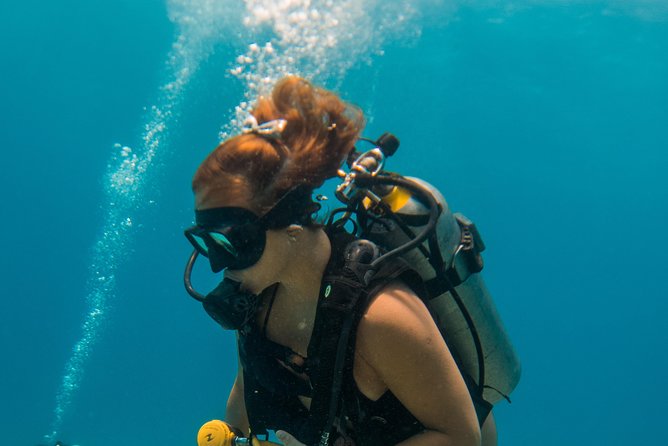 Scuba Diving in Cozumel Island - Who will get the most from this outing?