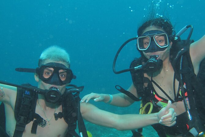 Scuba Diving Under Water Museum and Reef for beginners - Manchones Reef and Caribbean Marine Life