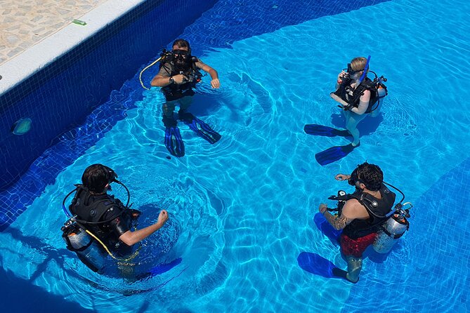 Scuba Diving Under Water Museum and Reef for beginners - Seasickness, Nerves, and Physical Comfort