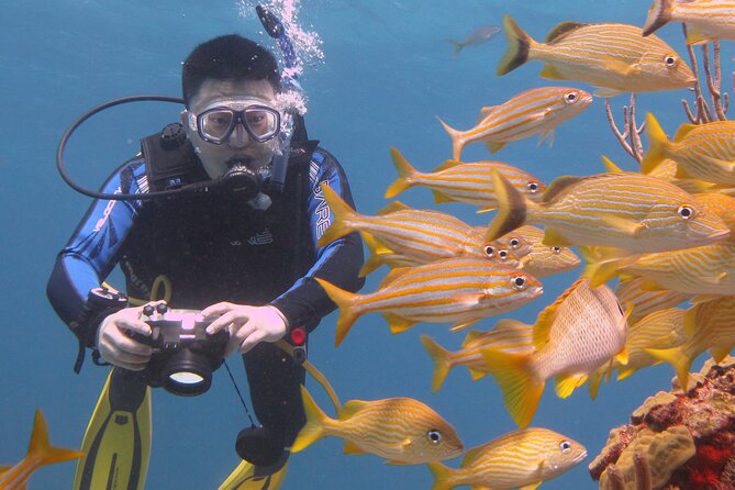 Scuba Diving Under Water Museum and Reef for beginners - What $119 Really Buys You