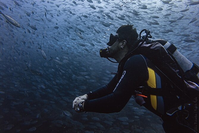 Scuba Diving - Meeting at Hotel Tesoro at 7:30 a.m.