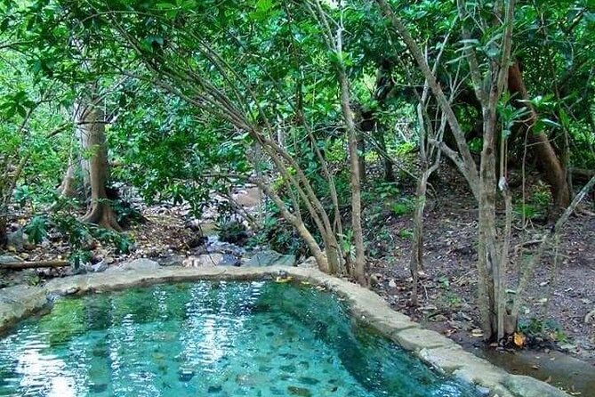 Shaded Hot Spring, Massage and Mex Grill in Puerto Vallarta - Soaking at Nuevo Ixtlan’s mineral pools