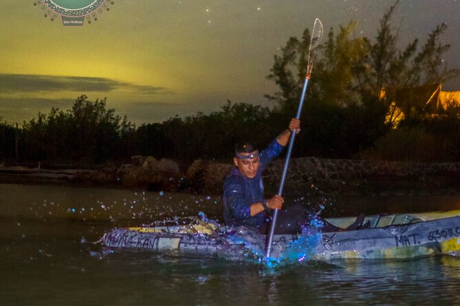 Shared Bioluminescence kayak tour in Holbox - The guides are a major part of the value