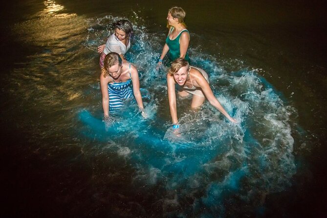 Shared Bioluminescence kayak tour in Holbox - Is $58.90 a fair price?