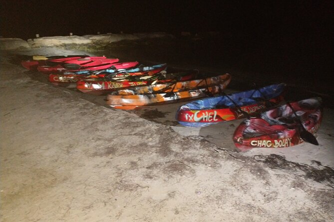 Shared Bioluminescence kayak tour in Holbox - Who will enjoy this tour most?