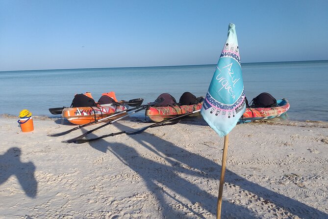 Shared mangroves kayak tour in Holbox - Birds, flamingos, and crocodiles in their own time