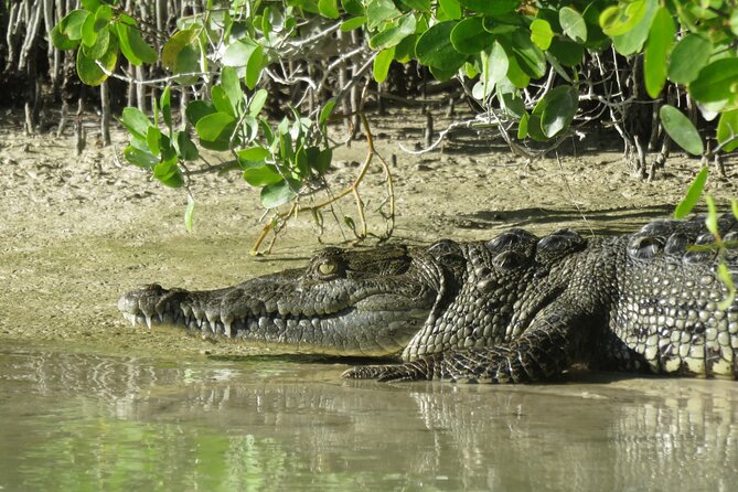 Shared mangroves kayak tour in Holbox - The best departure time for a relaxed paddle