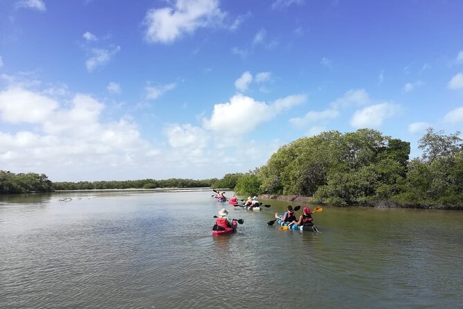 Shared mangroves kayak tour in Holbox - How hard is the paddling?