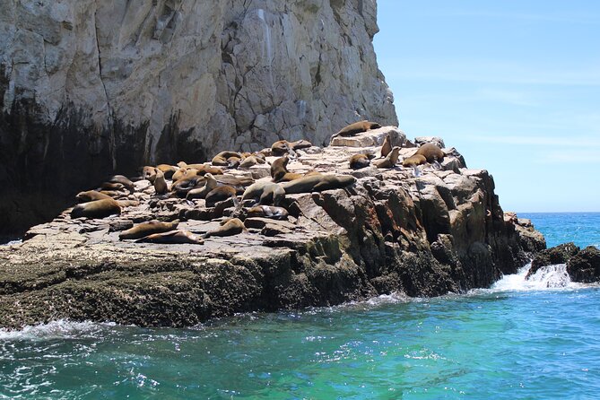 Shared Tour to the Arch of Cabo San Lucas - Pelican Rock, the pirate cave, and the Pacific Window