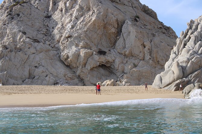 Shared Tour to the Arch of Cabo San Lucas - Sea lions, fish, and the glass-bottom question